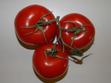 Tomatoes2