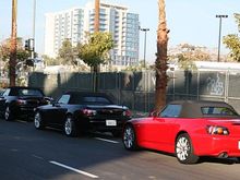 IMG_1989_cr.jpg