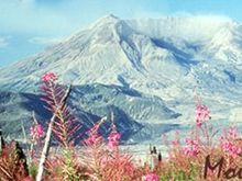 view.jpg