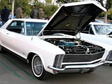 IMG_2103 crop.jpg