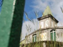church grass.jpg