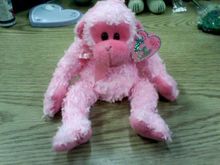 monkey.jpg