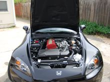 TRE_0600.JPG