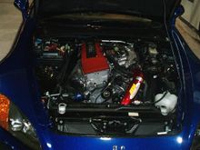 Im000431.jpg