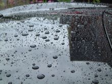 Allans Black S2000 25.JPG