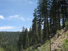 IMG_4395.JPG