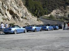 Suzuka Blue Beauties