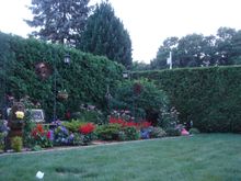 DSC00853.JPG