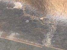 Distinto Harsh Light Backside Cracks Driv Closer View.jpg
