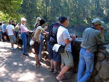 13 AT SILVER FALLS.jpg