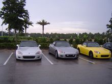 DSC00437.JPG