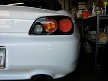 IMG_6952.JPG