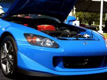 IMG_6302_ul.jpg