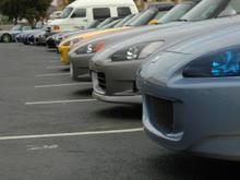 DSC_5778 071029 noses.JPG