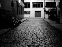 Shutterbug