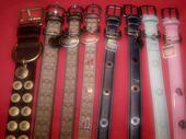 Coach dog collar.jpg