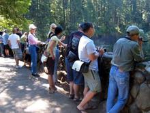 13 AT SILVER FALLS.jpg