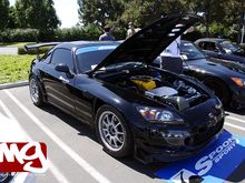 IMG_8195.jpg
