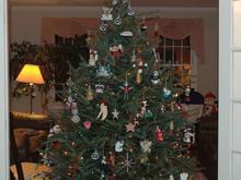DSC_6914 071215 tree.JPG