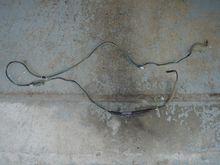 DSC01510.JPG