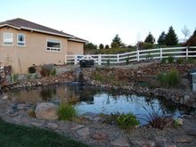 Pond Makeover 2008-03-04_3.JPG