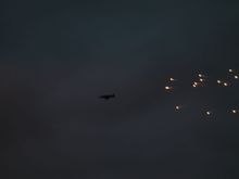 DSCN2122.jpg