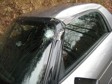 WTD 2008 182.jpg