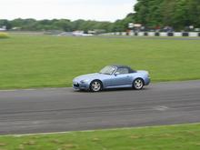 IMG_0117 (Large).JPG