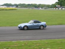 IMG_0184 (Large).JPG