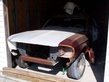 mustang 002.JPG