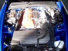 IMG_0170.jpg