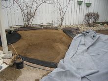 Shelley's Yard May 11-08 001.jpg