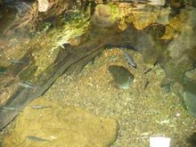 Vacation 2008 078.jpg