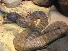 Vacation 2008 145.jpg