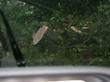 IMG_6358.JPG.jpg