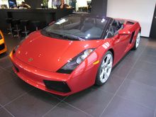 Lambo 8-16-08 003.jpg