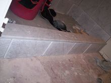 100_2601.jpg