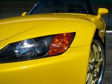 IMG_1032.jpg