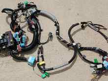 Front Dash Harness.JPG