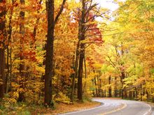 Fall Road.jpg