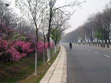 08 - 006 THE ROAD TO THE MING TOMBS.jpg