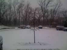 Snow_1-19-09a.jpg