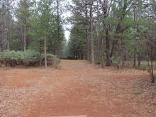 Hole 16.  Easy location is straight ahead (current location)