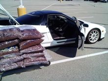 mulch.JPG