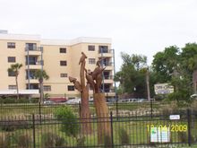 100_1593.JPG