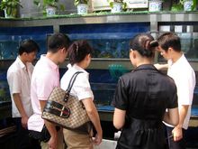 picking out lunch 1.jpg