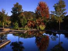 Bosque5.jpg