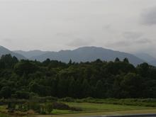 IMG_1043 (Large).JPG