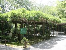 IMG_1212 (Large).JPG