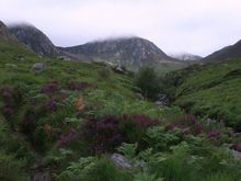 IMG_9450.JPG